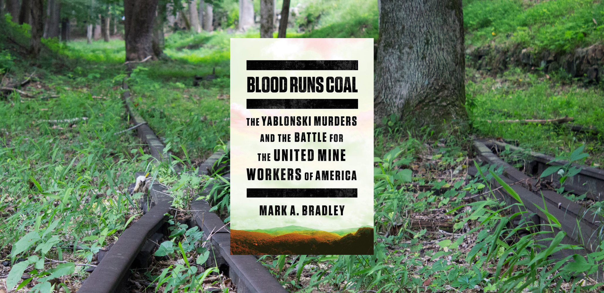 Review: Blood Runs Coal Tells the Notorious Assassination of a Mine Workers Union Reformer - Vimarsana News