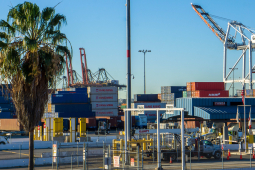 A photo of the ports of L.A. and Long Beach, with a big crane in the background and containers in the foreground, and a palm tree on the far left.