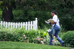 A Black woman letter carrier walks across a lawn, in front of a white picket fence, carrying the mail