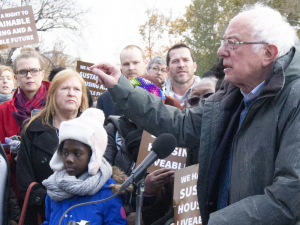 Bernie Sanders speaks at a podium surrounded by people holding signs about housing