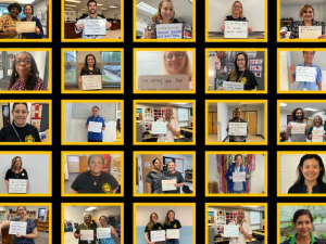 A grid of photos of union supporters holding up paper saying “I’m voting yes” and other things.