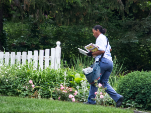 A Black woman letter carrier walks across a lawn, in front of a white picket fence, carrying the mail