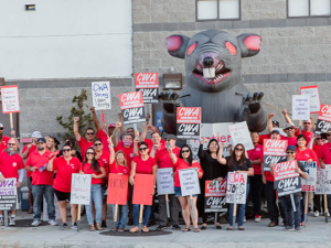 Dozens of Frontier workers / CWA members wearing red assembled with Scabby the inflatable rat