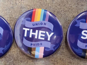 Three purple buttons. Pronoun "He," "They," or "She" is surrounded on each button by rainbow flag, trans flag, and the words "Union Pride."