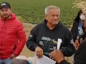 A masked worker in a straw hat speaks while an older unmasked man in a sweatshirt, the grower, listens, smiling or grimacing. Both are holding paper. A younger man in a red jacket, unmasked, stands impassive. Other masked people circle them, one with resolutely crossed arms.