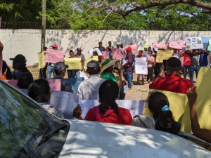 Around 50 people stand outside in a warm, sunny spot, holding homemade signs that are either facing away from us or too far to read. Behind them is a cement wall and a tree against blue sky; the ground looks dusty. In the foreground is a white truck.