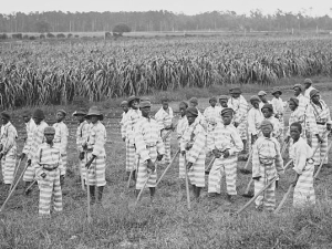 Child convicts at work in the fields.