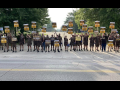 A row of people in UPS outfits with signs seen from far away block the road to some kind of facility, a gate is visible behind them.