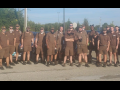 About 20 UPS workers in brown shorts uniforms pose for the camera together in a sunny parking lot. Many are smiling.