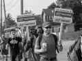 Black and white photo shows Black and white men picketing in a residential area with "UPS Teamsters: Just Practicing for a Just Contract" signs