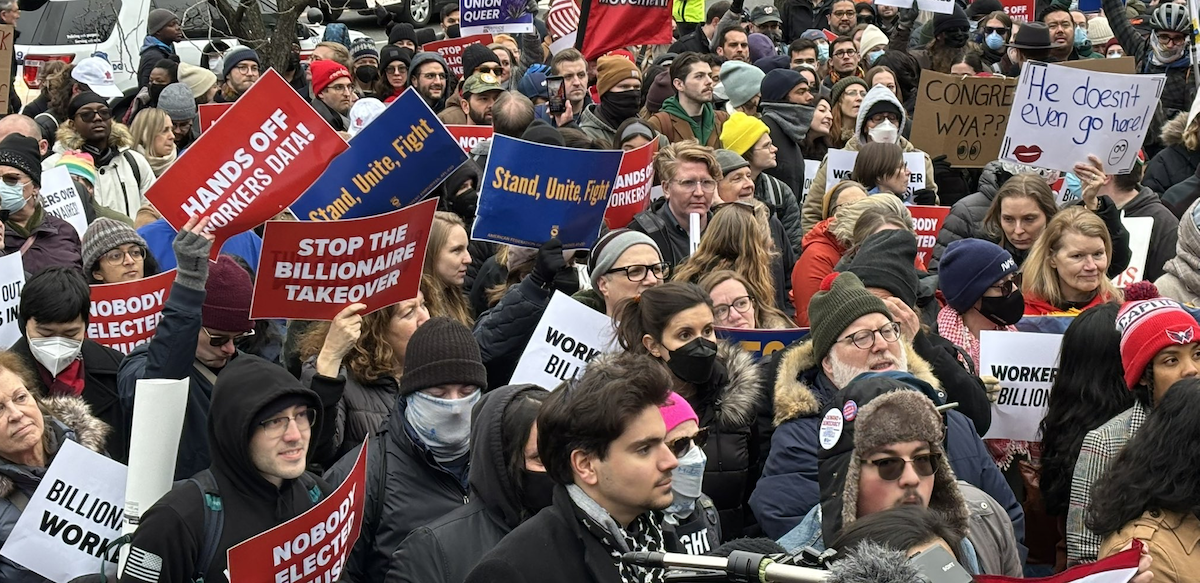 A sea of faces in a protest crowd. Some printed signs say "Stop the Billionaire Takeover," "Hands Off Workers Data," "Stand, Unite, Fight," and "Nobody Elected Musk." Some handlettered signs say "Congress, WYA?" and "He doesn't even go here!"