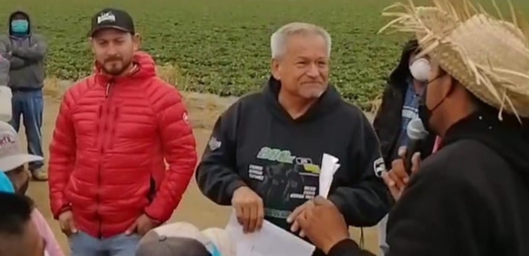 A masked worker in a straw hat speaks while an older unmasked man in a sweatshirt, the grower, listens, smiling or grimacing. Both are holding paper. A younger man in a red jacket, unmasked, stands impassive. Other masked people circle them, one with resolutely crossed arms.