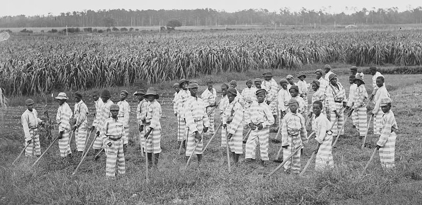 Child convicts at work in the fields.