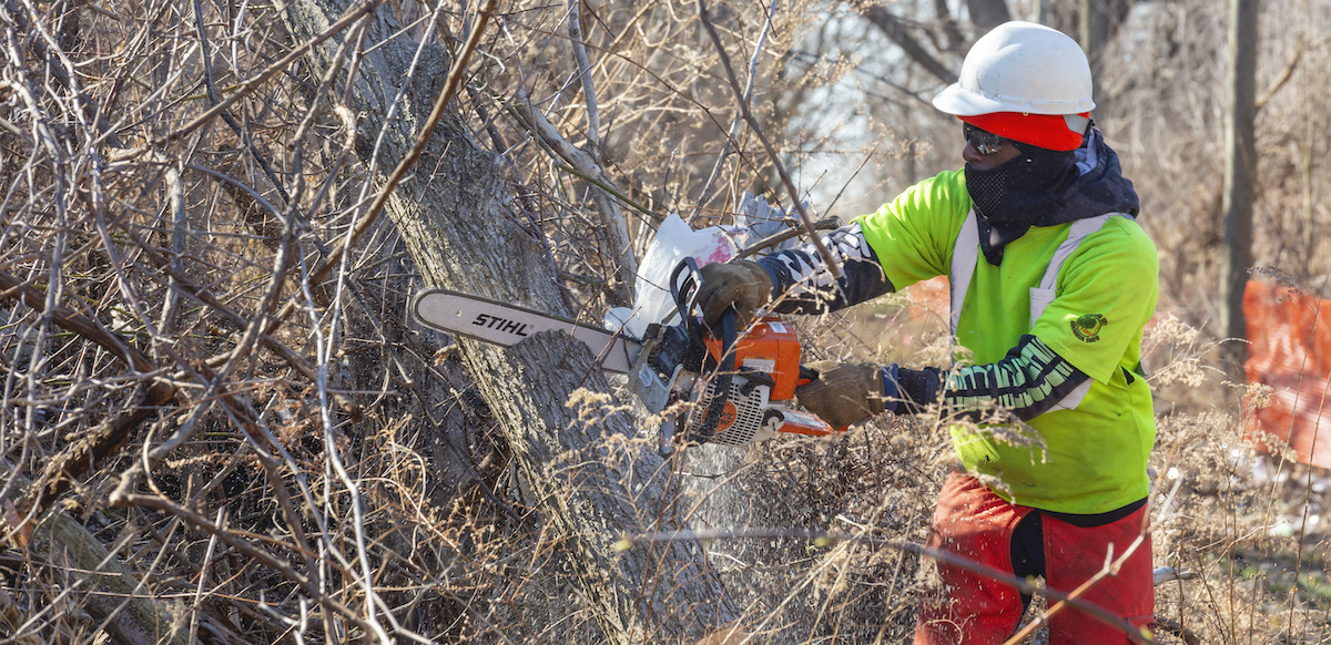A person works outside among leafless trees, slicing through the trunk of one with an orange chainsaw. The person is wearing a neon green shirt and protective gear: gloves, a hardhat, sunglasses, a gaiter mask, and thick orange pants or chaps.