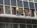 Workers in harnesses work outside windows doing construction.
