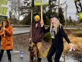 Six people, dressed for a chilly day, holding ONA "Nurses on Strike" picket signs, shout or sing against a gray Oregon sky alongside a road. One man holds the leash of a dog. Most people in the photo appear to be white women.