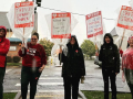 A group of six people stand facing the camera in the rain with signs covered with clear plastic bags. One says, ‘Without the Lab, You’re Just Guessing.’