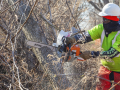 A person works outside among leafless trees, slicing through the trunk of one with an orange chainsaw. The person is wearing a neon green shirt and protective gear: gloves, a hardhat, sunglasses, a gaiter mask, and thick orange pants or chaps.